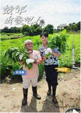 山脊线上 海报
